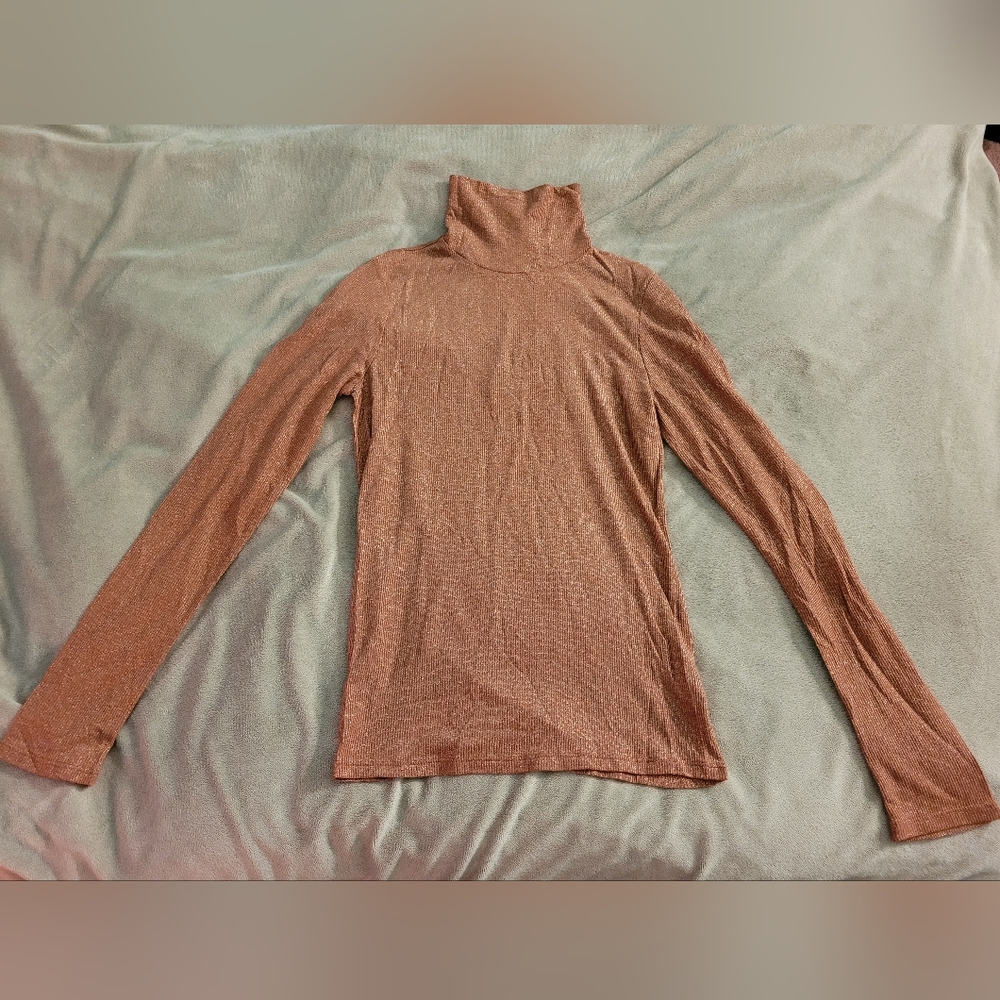 Express Shimmer Turtleneck
